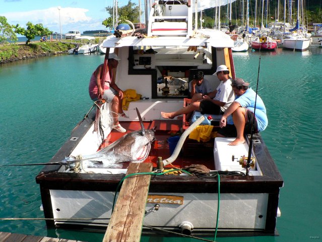 86- Les pecheurs de la marina et leur espadon 